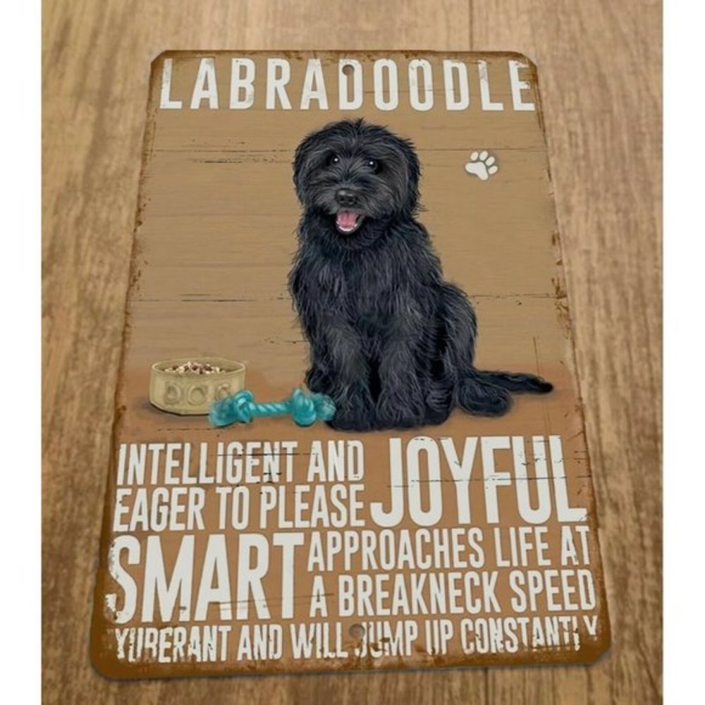 Labradoodle Intelligent Eagar to Please Loyal Smart Dog 8x12‎ Metal Wall Sign